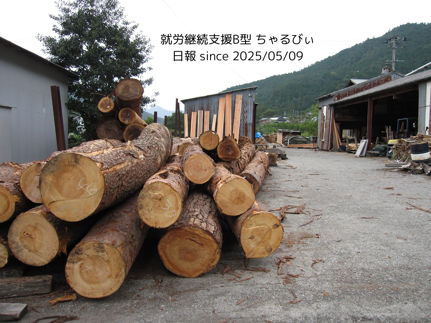 日報のアイキャッチ画像