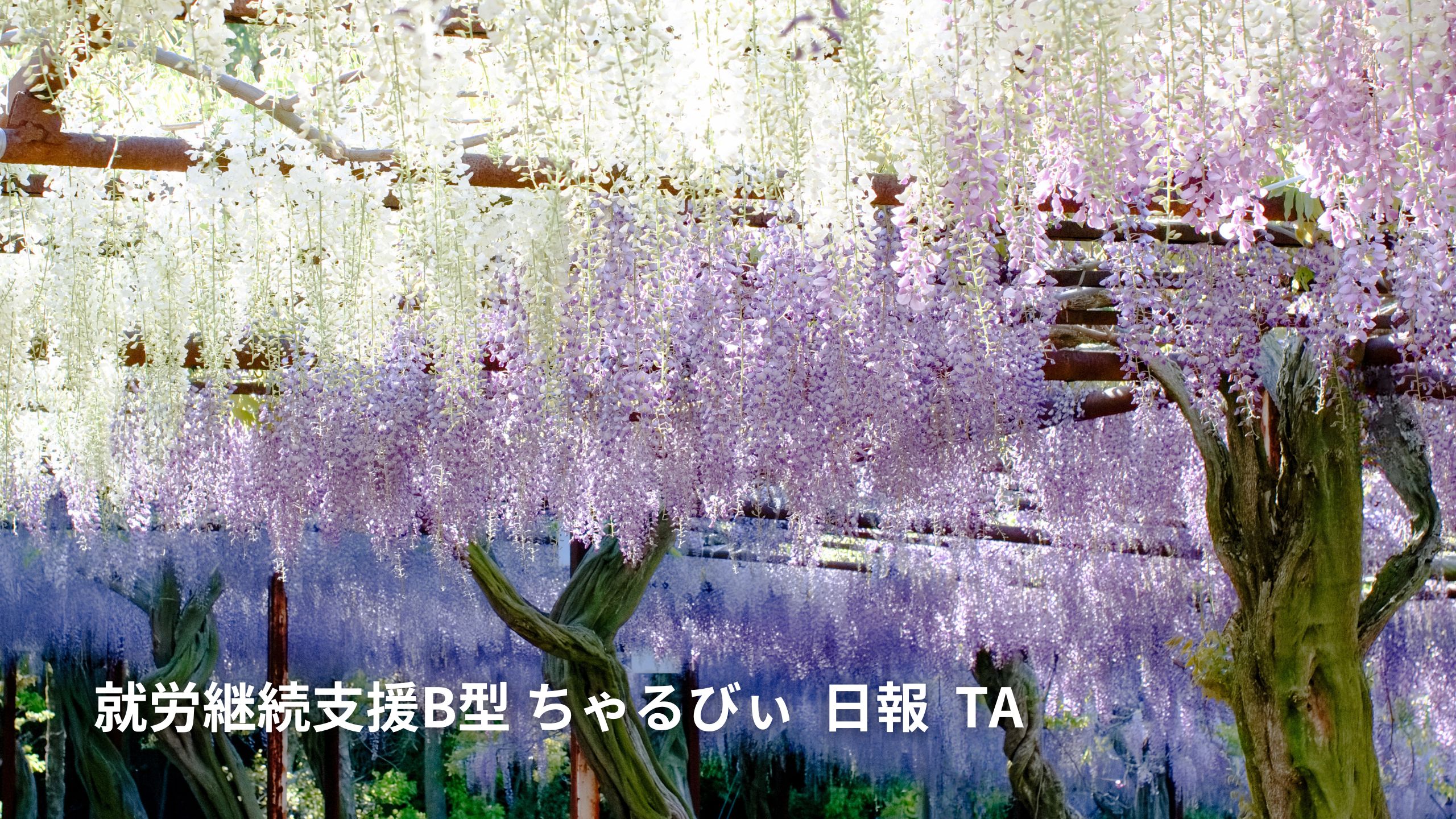 日報のアイキャッチ画像