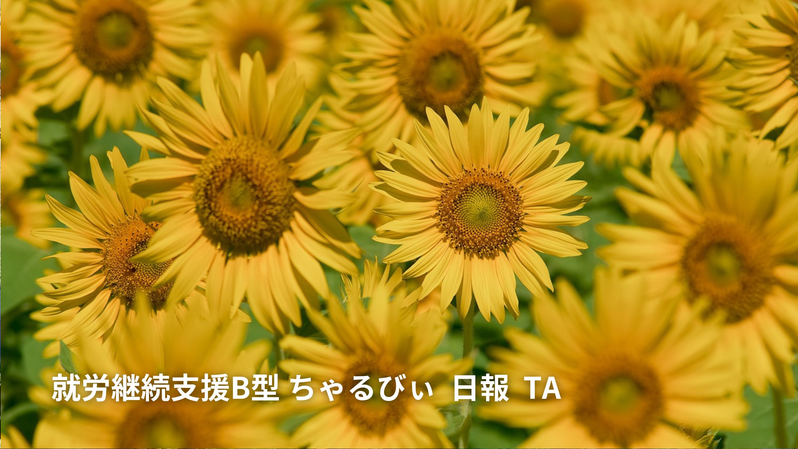 日報のアイキャッチ画像