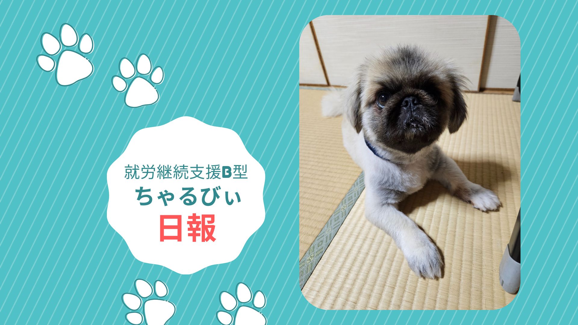 日報のアイキャッチ画像