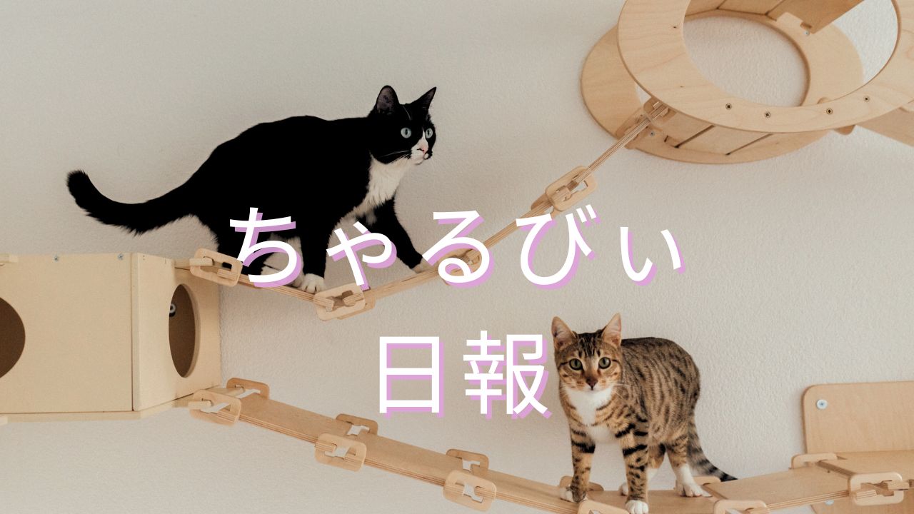 日報のアイキャッチ画像
