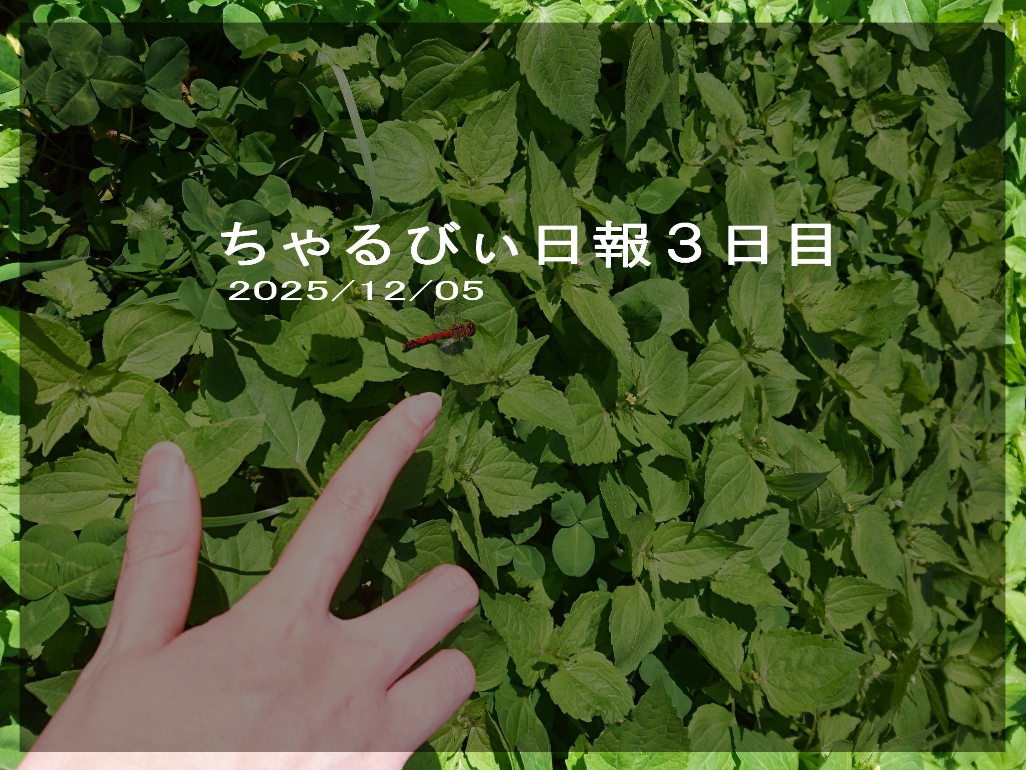 日報のアイキャッチ画像