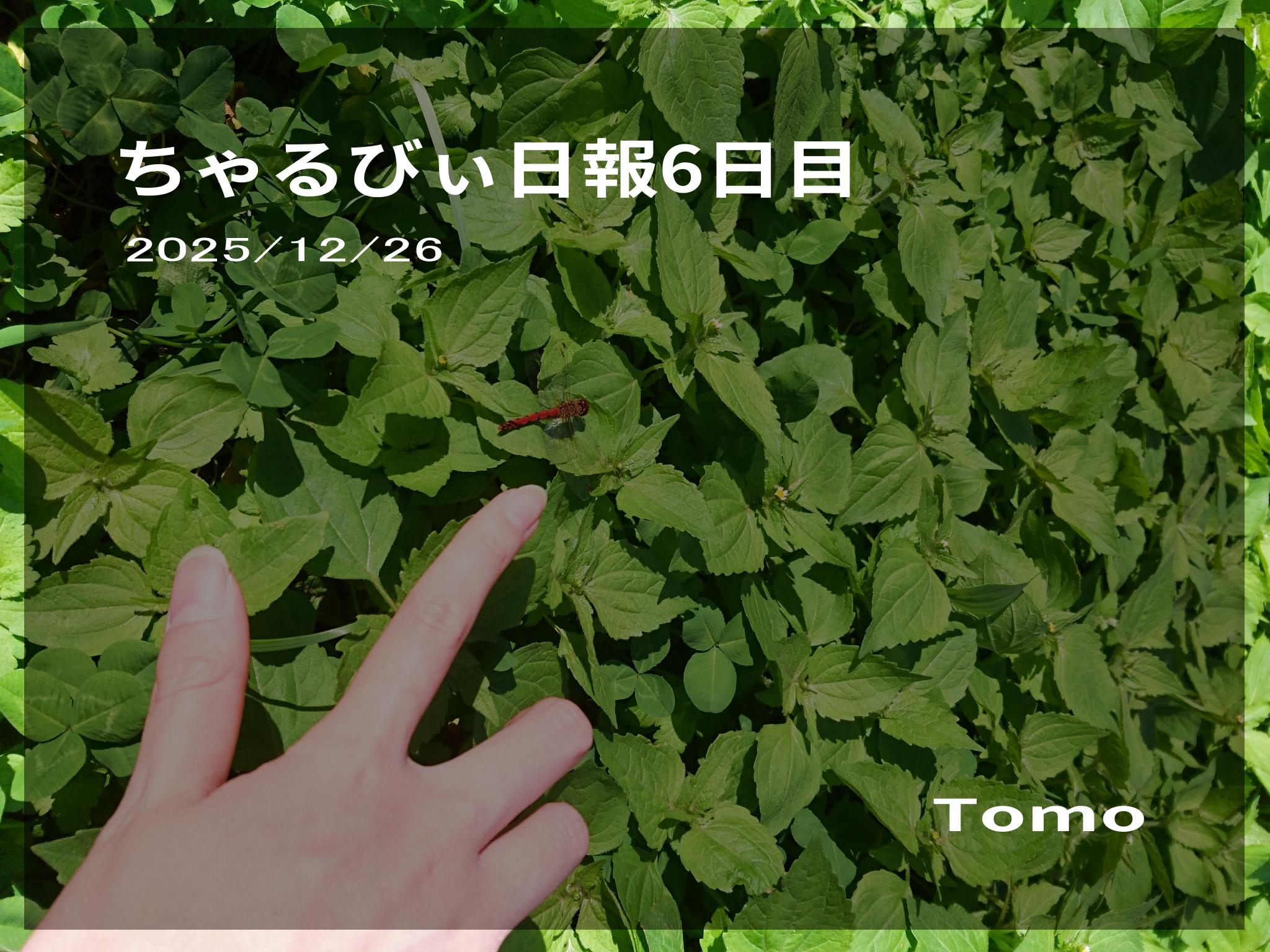 日報のアイキャッチ画像