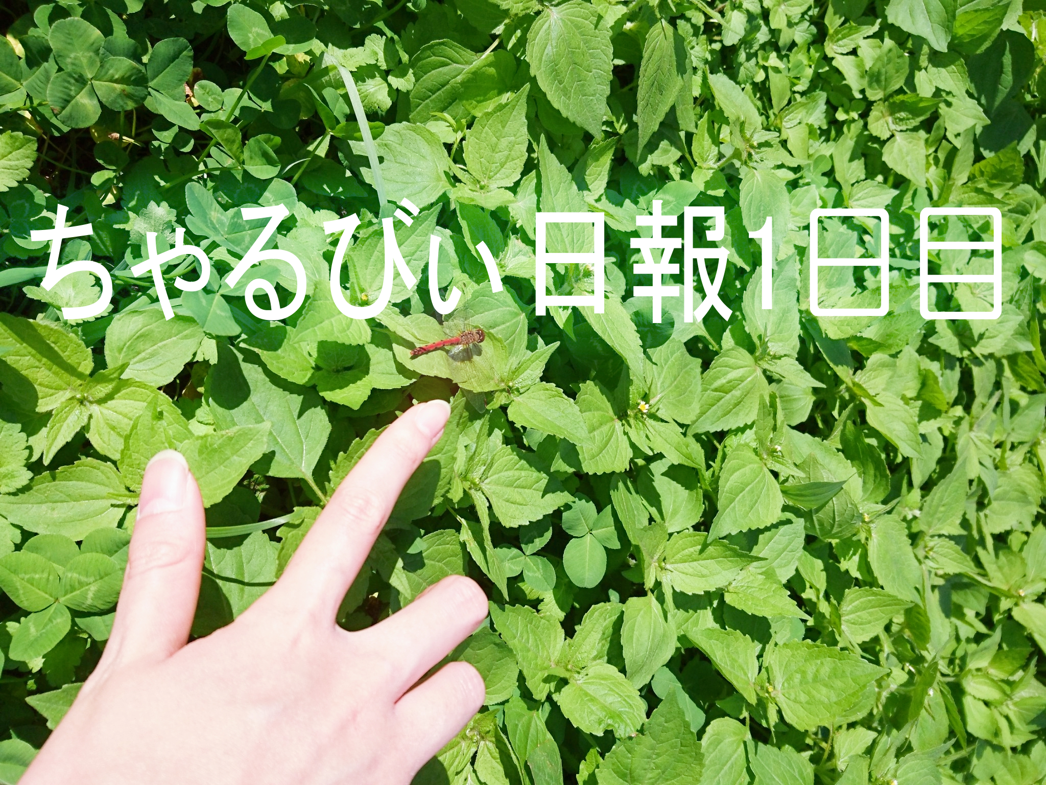 日報のアイキャッチ画像