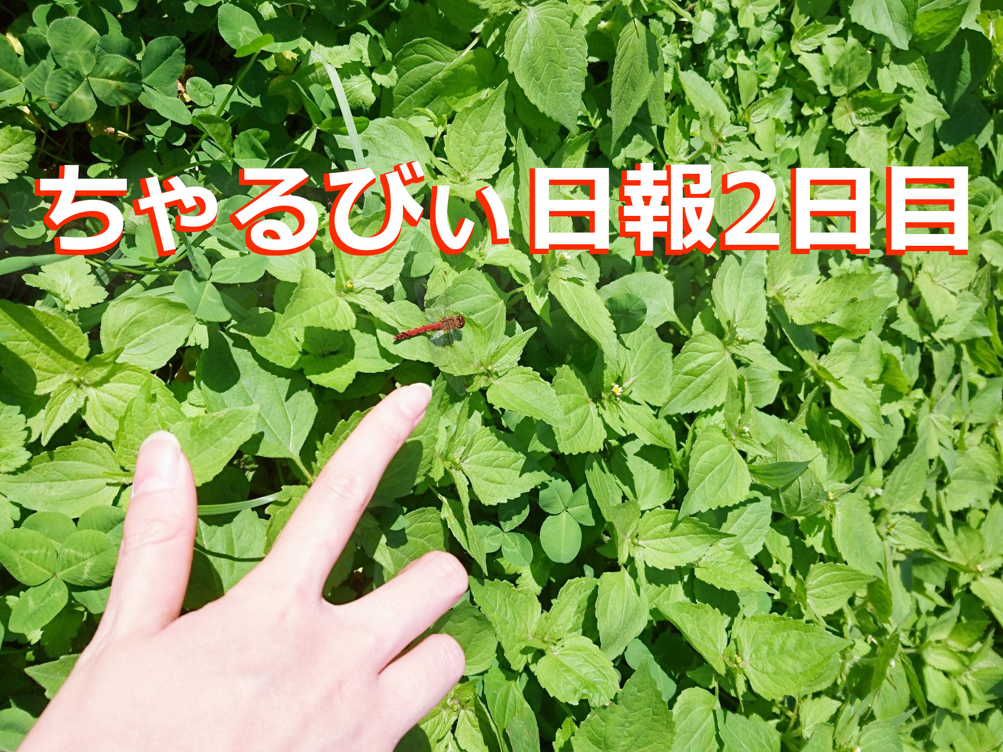 日報のアイキャッチ画像